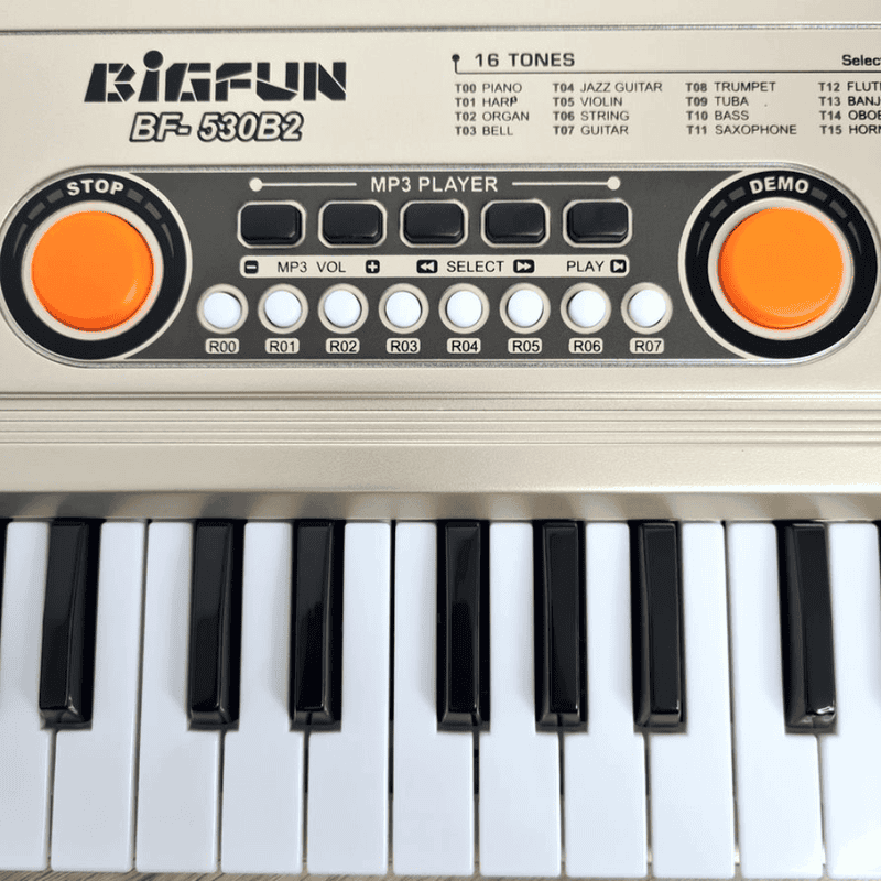 Organeta Piano Electrónico Para Niños 49 Teclas Usb Bf-530