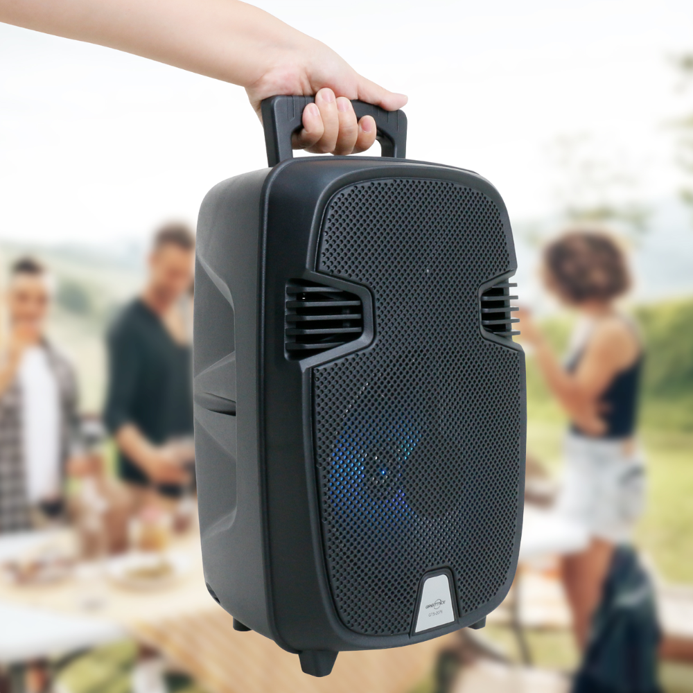 Cabina De Sonido Recargable 8 Pulgadas Bluetooth Fm Gts-2076