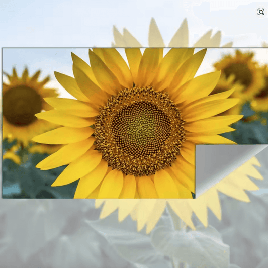 Telon Reflectivo Proyector 130in Plegable Gris Antiluz 4k Hd