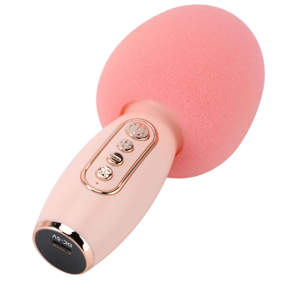 Set Karaoke Para Niños Bluetooth Inalámbrico Micrófono