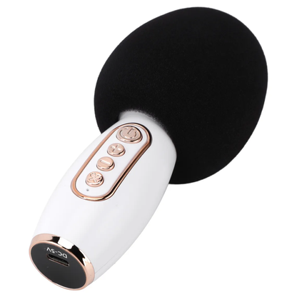 Set Karaoke Para Niños Bluetooth Inalámbrico Micrófono