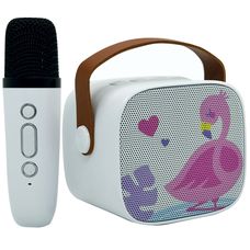 Set Karaoke Para Niñas Inalambrico Speaker Bluetooth 6w K8