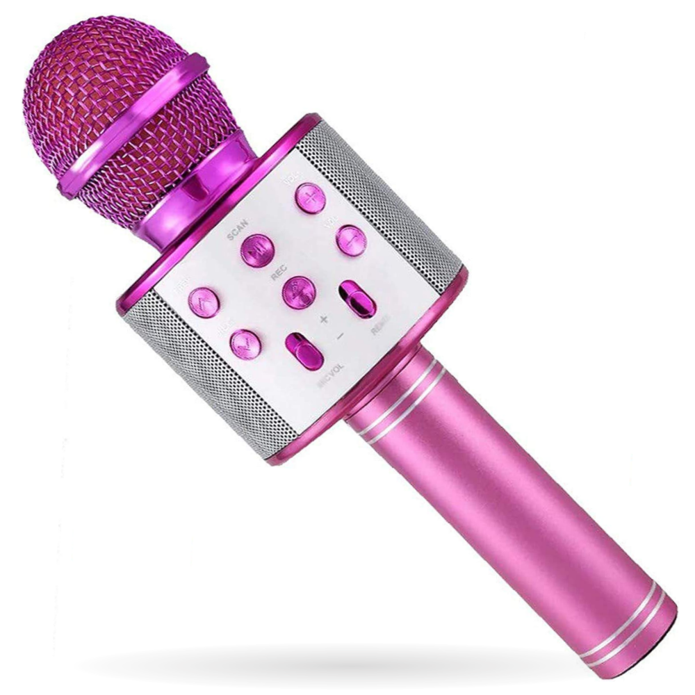 Microfono Parlante Karaoke Hytoshy WS - 858